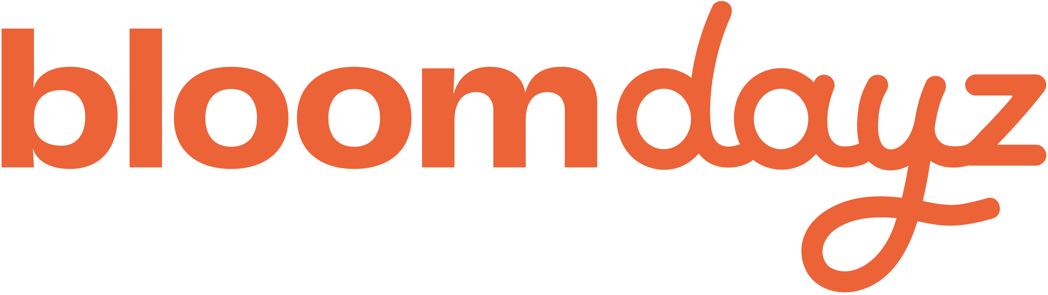 logo bloomdayz sans texte.png