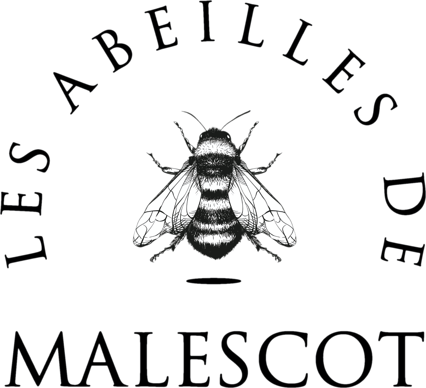 logo_sans_fond.png