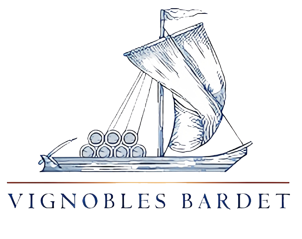 Logo_VB_PNG__1_.png